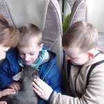 phoca_thumb_m_lye zvody 3 Fotogalerie